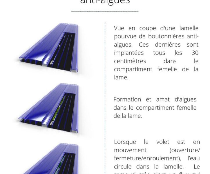 Boutonnières anti-algues